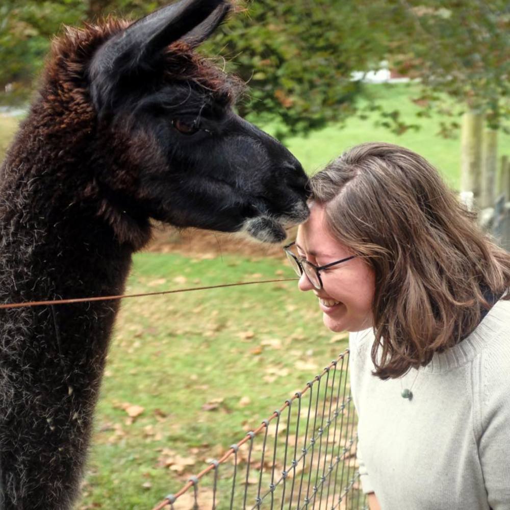 Meet your Posher, Morgan